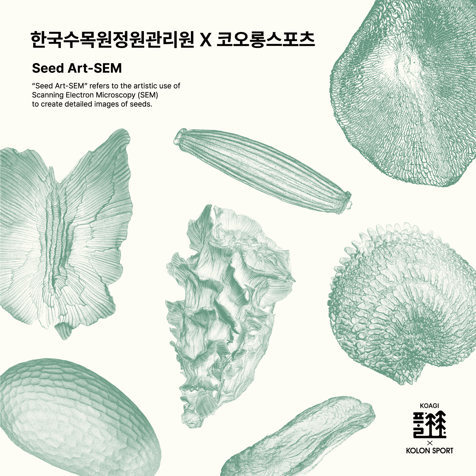 '산림생물 다양성 보전' 코오롱스포츠, 한국수목원정원관리원과 컬래버 993-Image